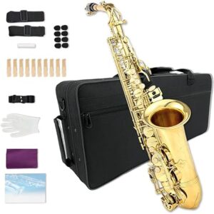 Yinfente Saxofone plano Eb com 10 palhetas, 8 almofadas, estojo rígido e muito mais, para estudantes, iniciantes, adultos, saxofone alto, kit de saxofone, presente de feriado (Glod)